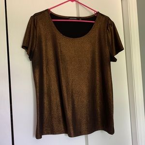 Beautiful Shimmery Copper Dress Shirt
